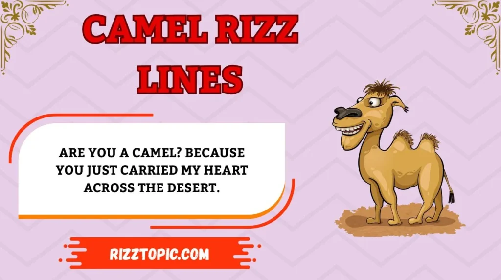 Camel Rizz Lines