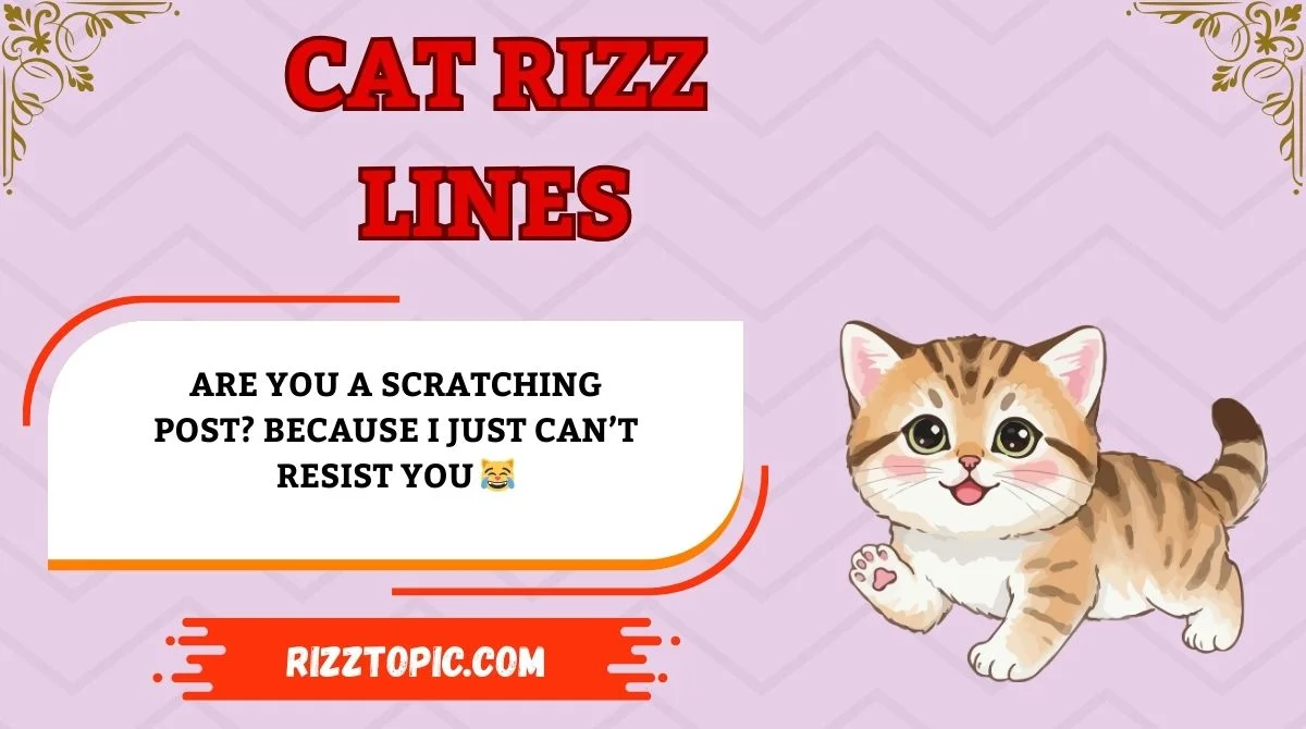 Cat Rizz Lines