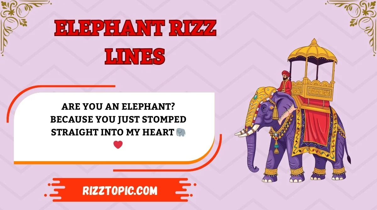 Elephant Rizz Lines
