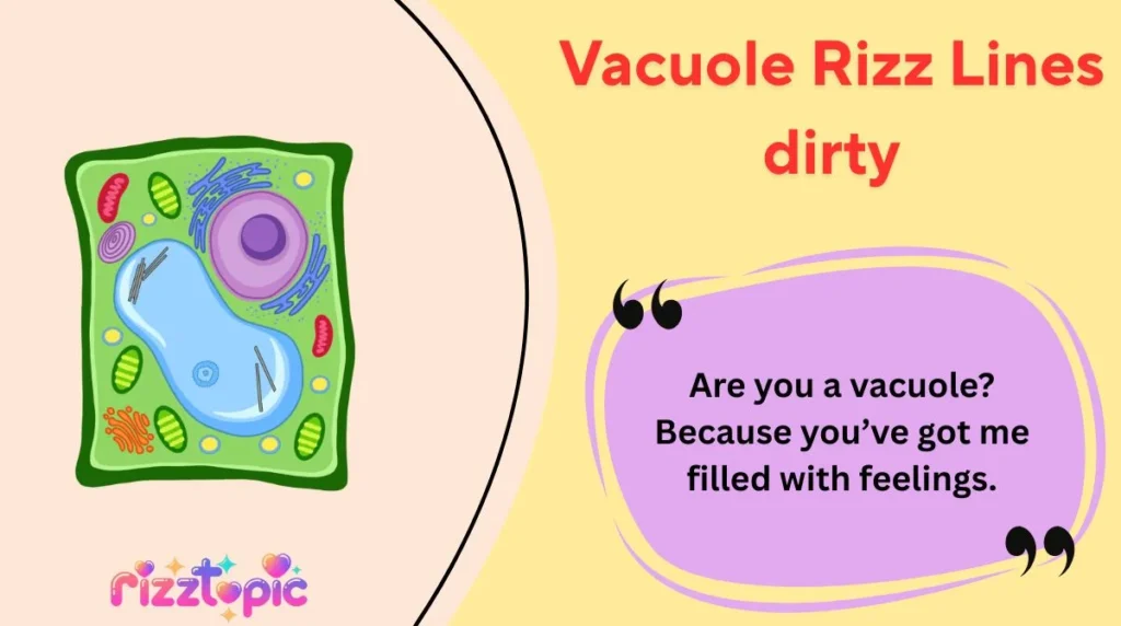 Vacuole Rizz Lines dirty