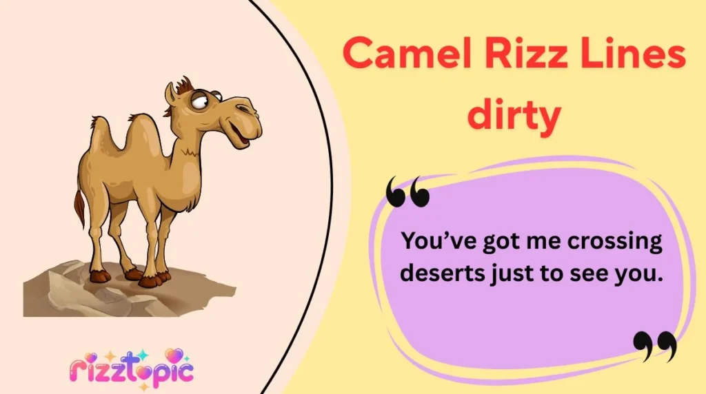 Camel Rizz Lines dirty