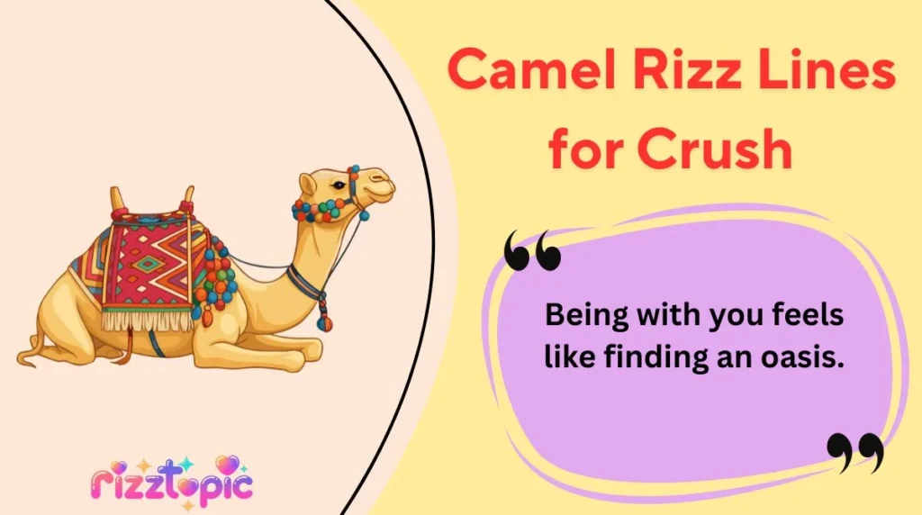 Camel Rizz Lines for Crush