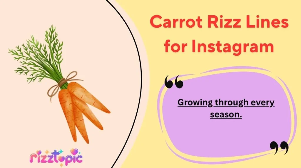Carrot Rizz Lines for Instagram