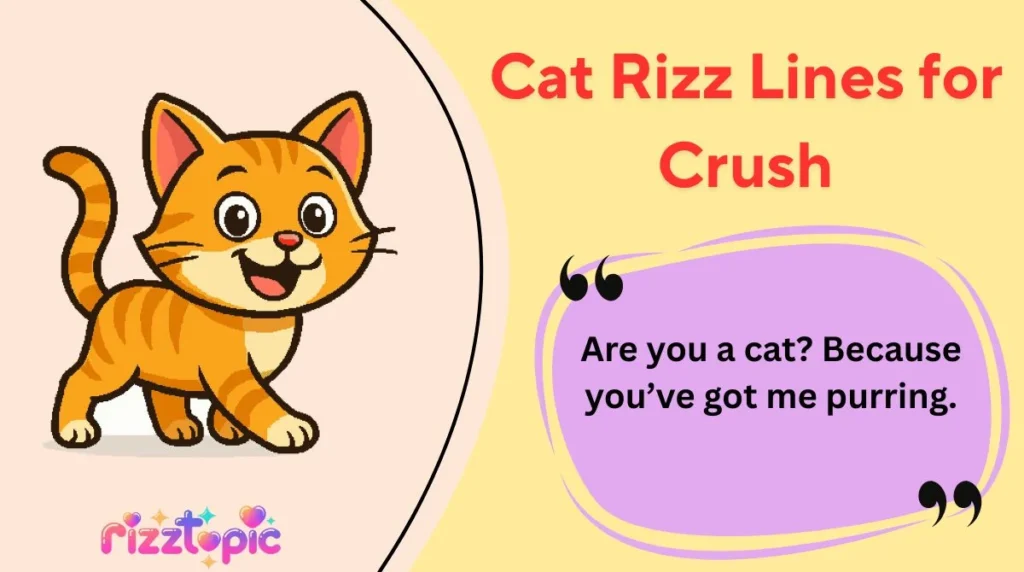 Cat Rizz Lines for Crush