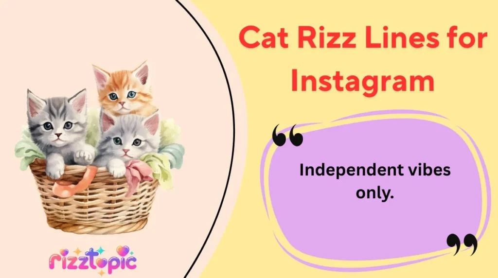 Cat Rizz Lines for Instagram