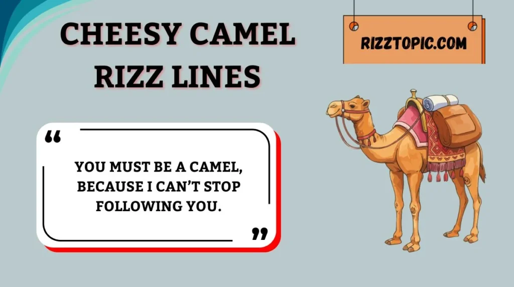 Cheesy Camel Rizz Lines