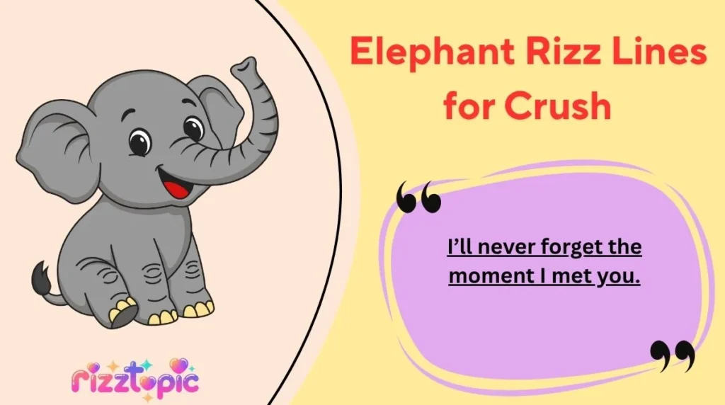 Elephant Rizz Lines for Crush