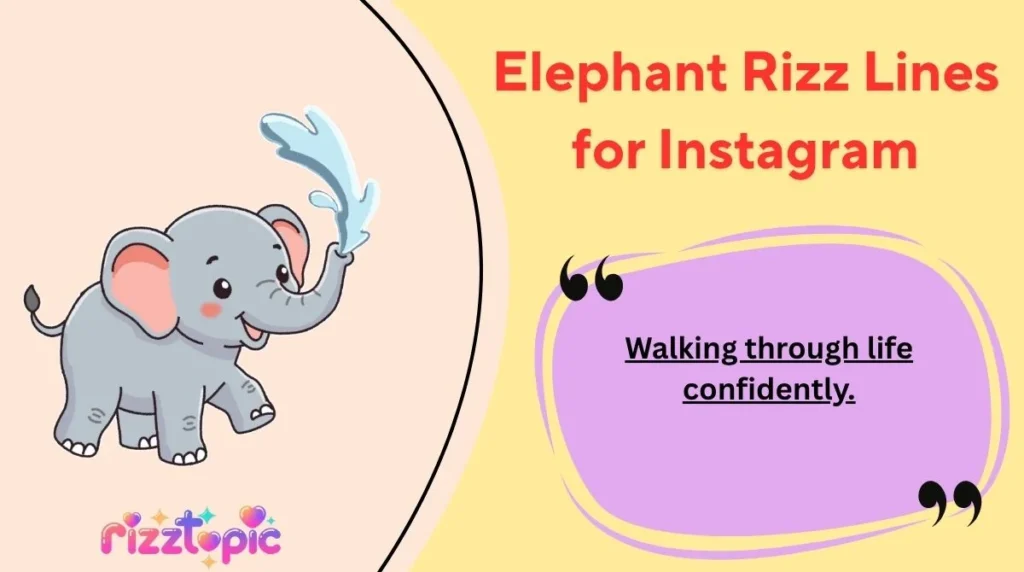 Elephant Rizz Lines for Instagram