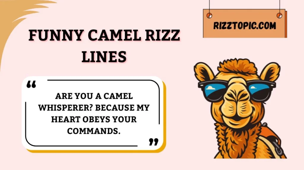 Funny Camel Rizz Lines