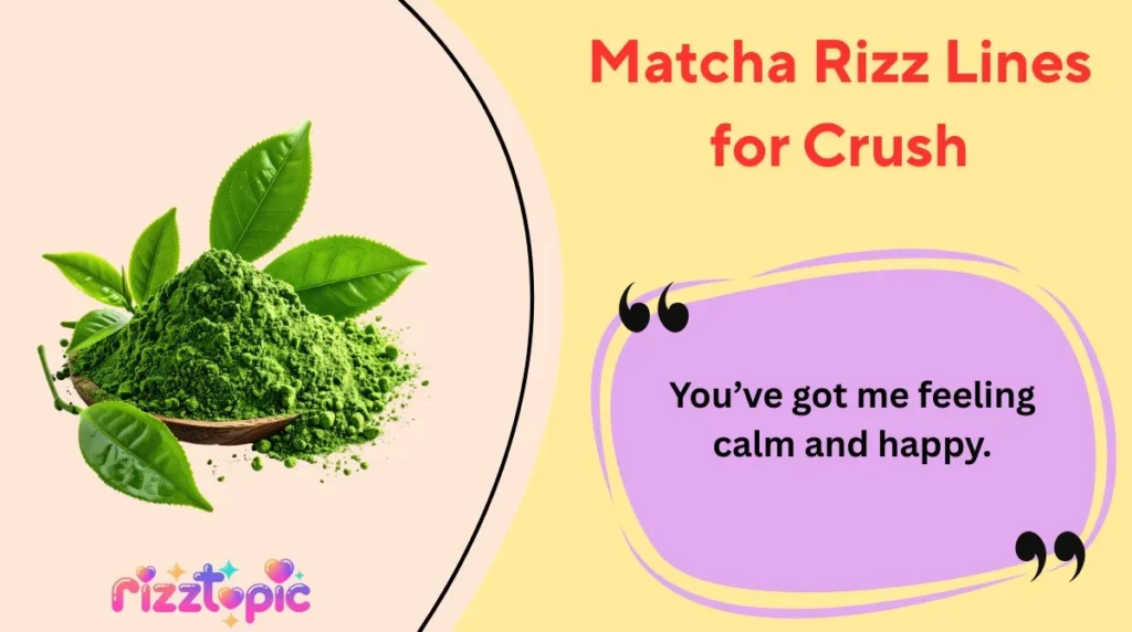 Matcha Rizz Lines for Crush