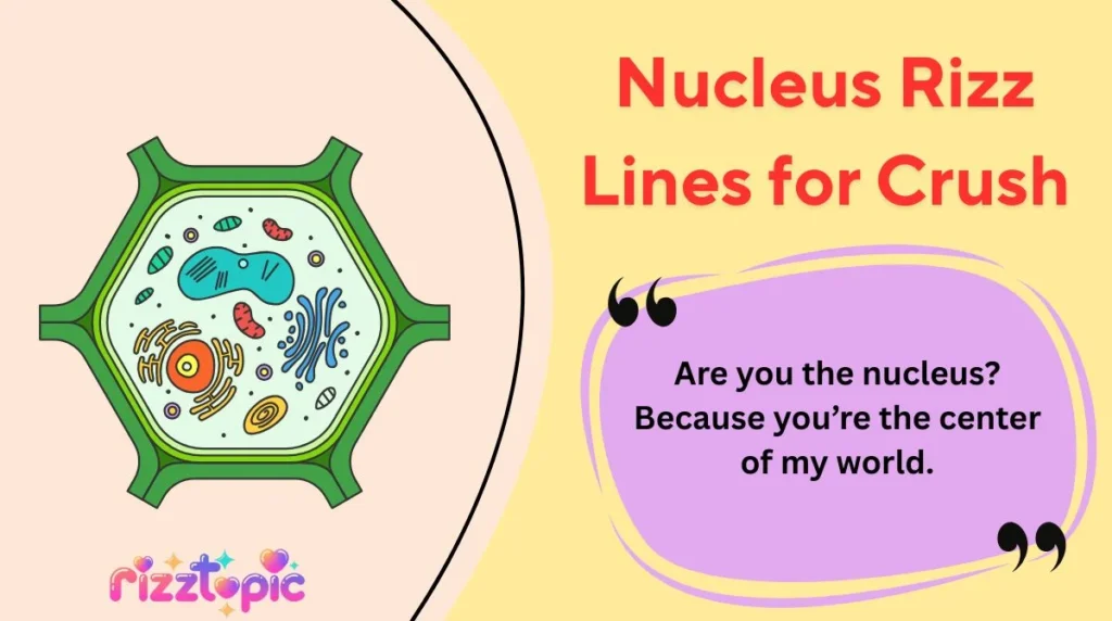 Nucleus Rizz Lines for Crush