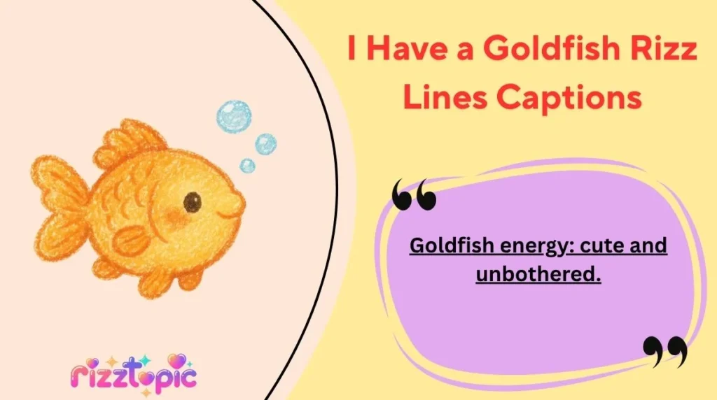 I Have a Goldfish Rizz Lines Captions
