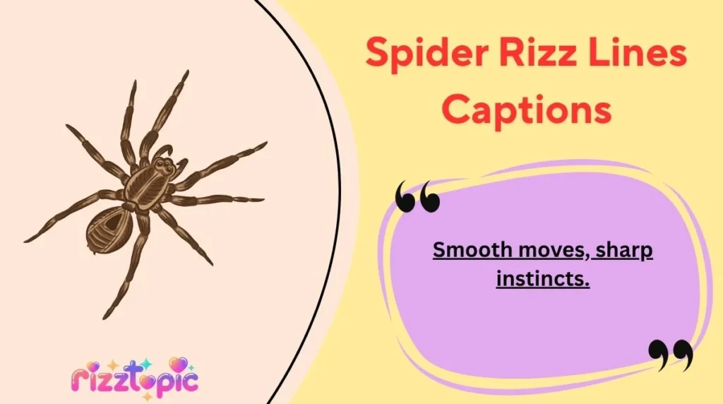 Spider Rizz Lines Captions