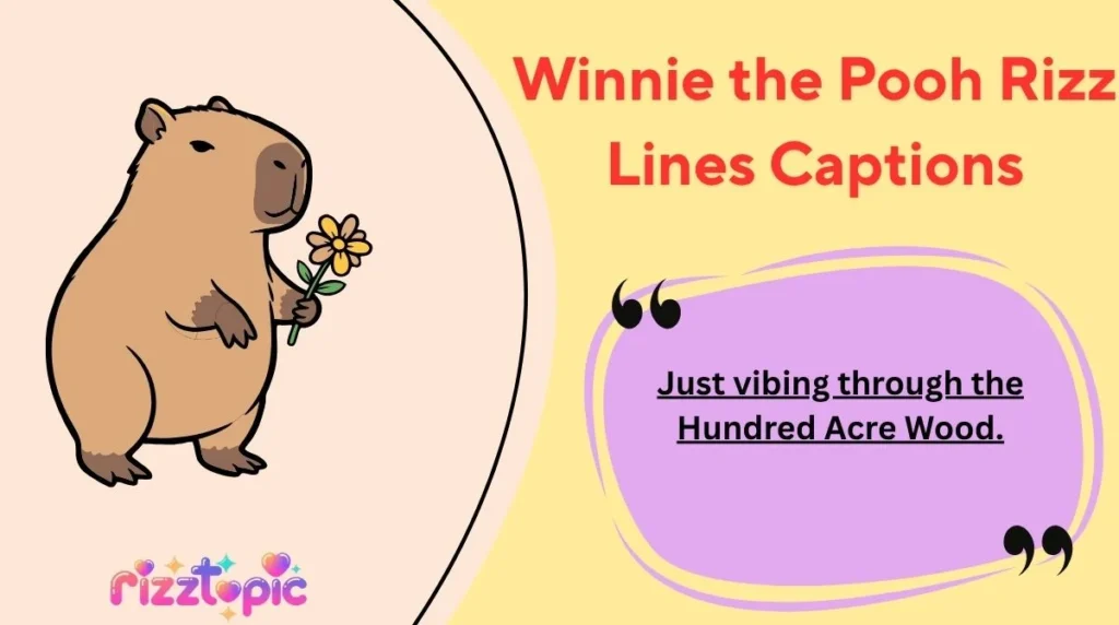 Winnie the Pooh Rizz Lines Captions