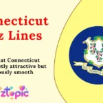 Connecticut Rizz Lines