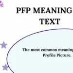 PFP Meaning in Text