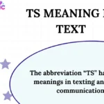 TS Meaning in Text