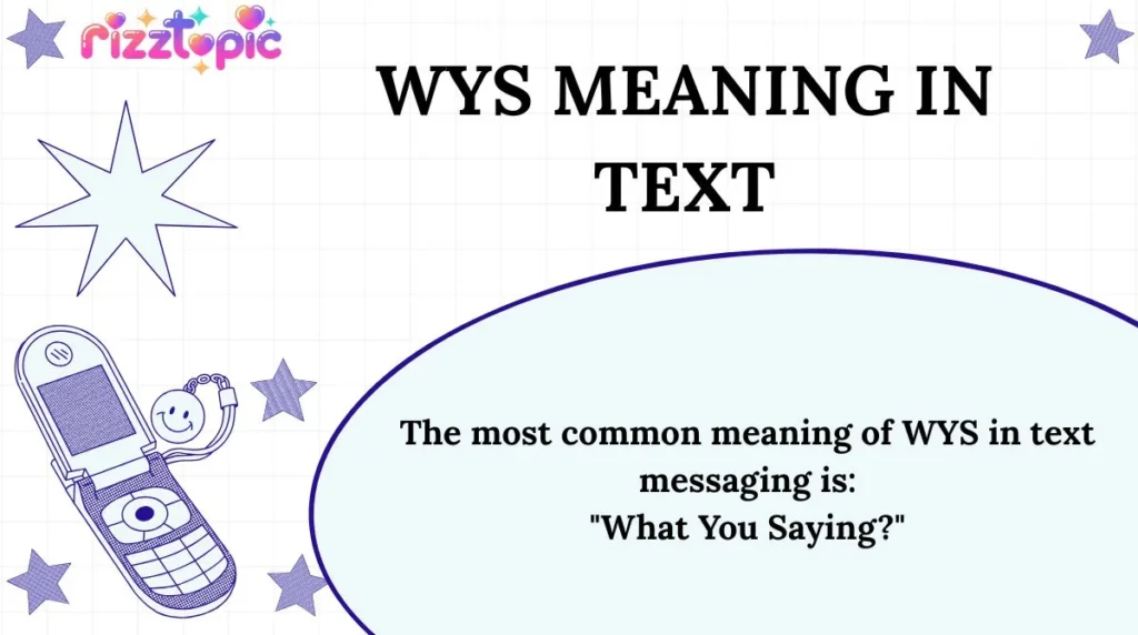 WYS Meaning in Text