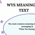 WYS Meaning in Text