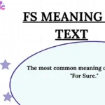 FS Meaning in Text