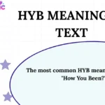 HYB Meaning in Text