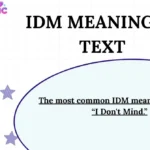 IDM Meaning in Text