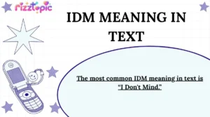 IDM Meaning in Text