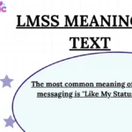 LMSS Meaning in Text