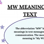 MW Meaning in Text