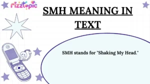 SMH Meaning in Text