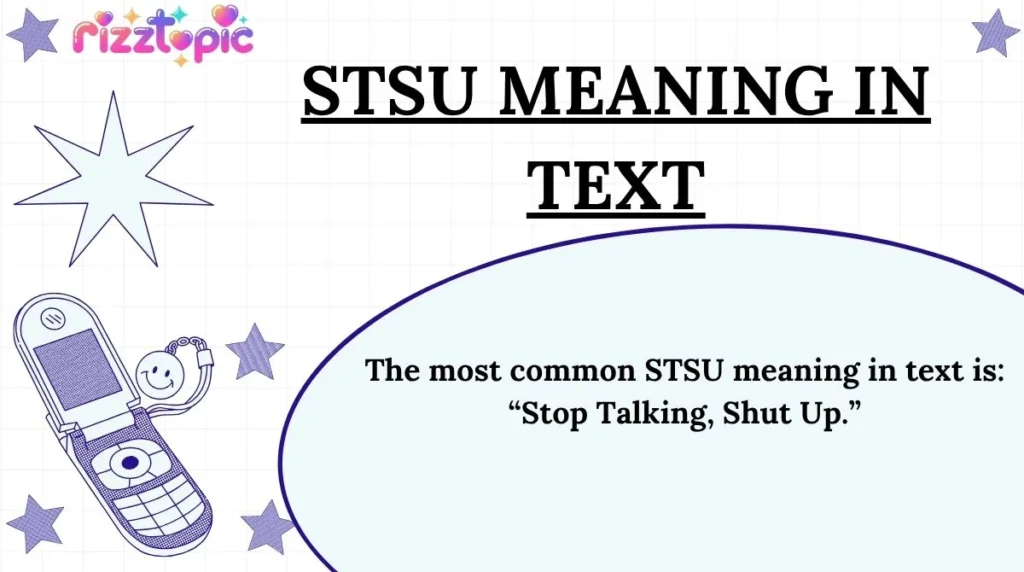 STSU Meaning in Text