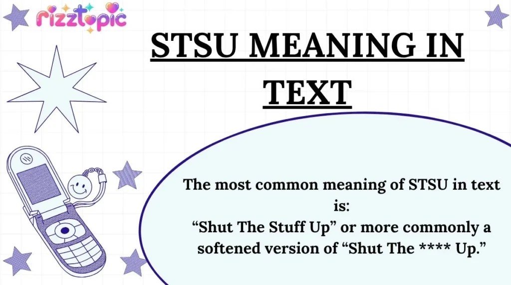 STSU Meaning in Text