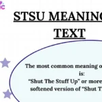 STSU Meaning in Text