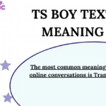 TS Boy Text Meaning