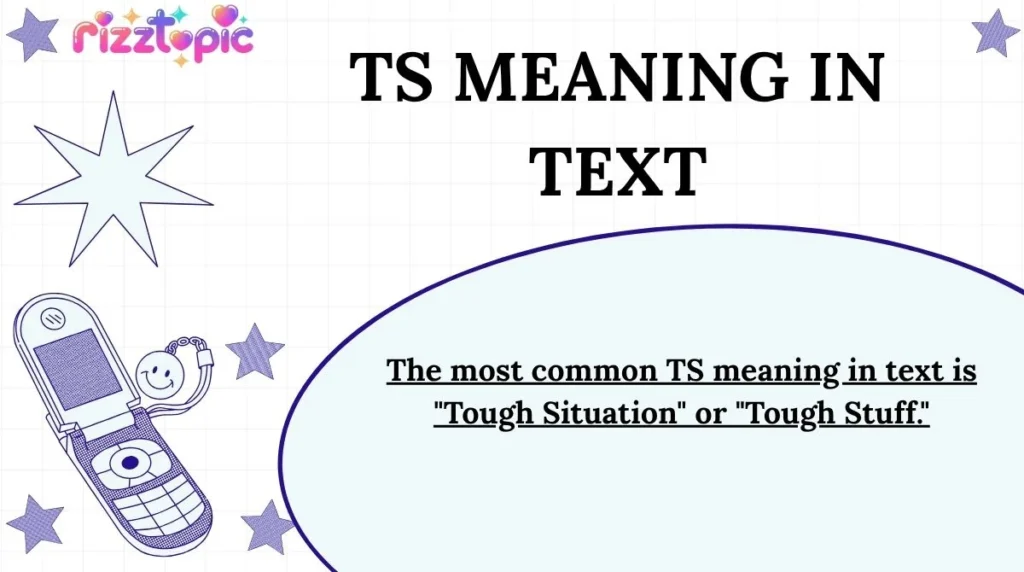 TS Meaning in Text