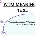 WTM Meaning in Text