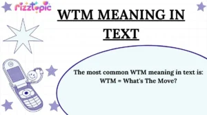 WTM Meaning in Text