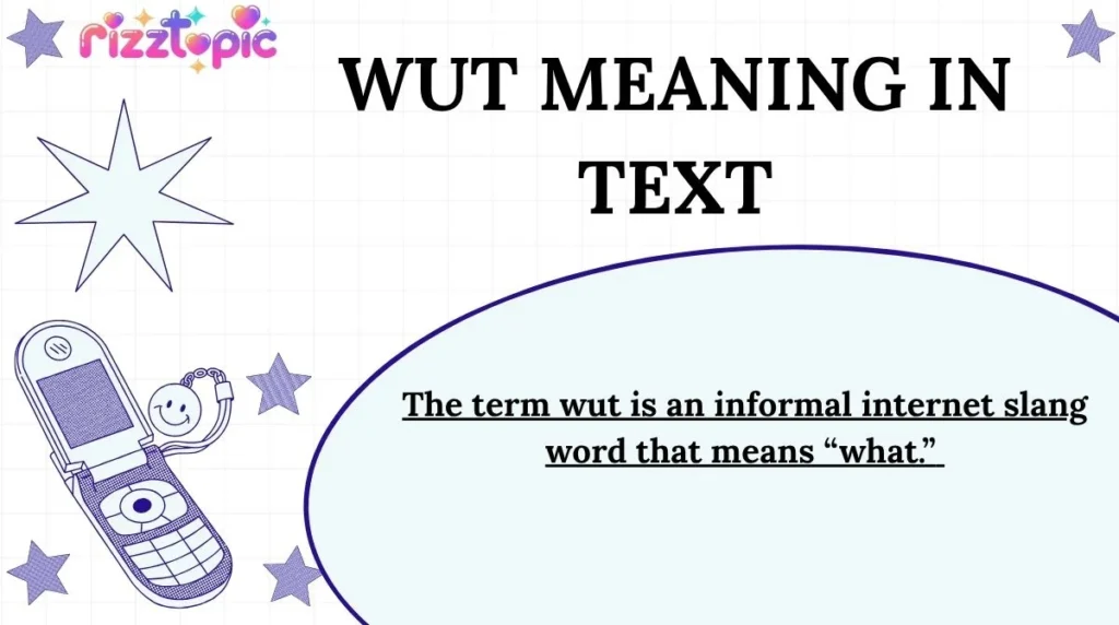 WUT Meaning in Text