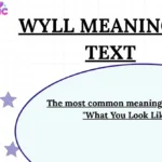 Wyll Meaning in Text