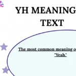 YH Meaning in Text